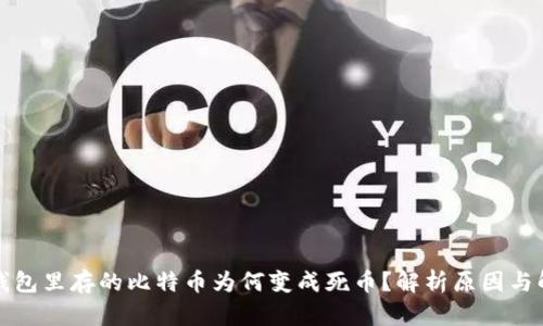比特币钱包里存的比特币为何变成死币？解析原因与解决方案