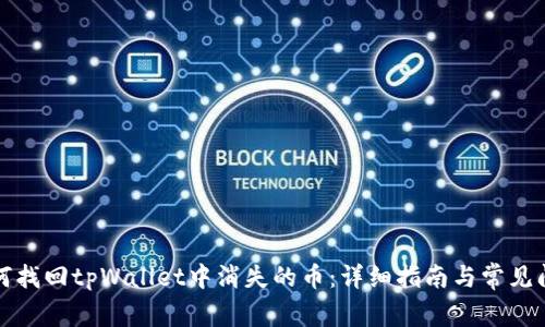 如何找回tpWallet中消失的币：详细指南与常见问题