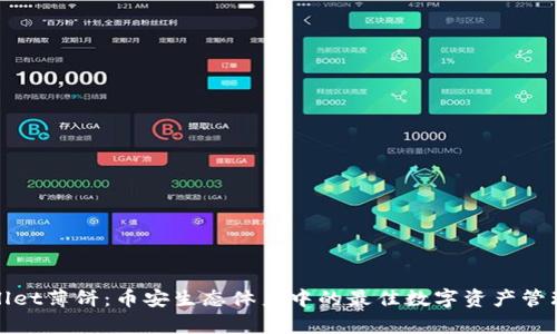 tpWallet薄饼：币安生态体系中的最佳数字资产管理工具