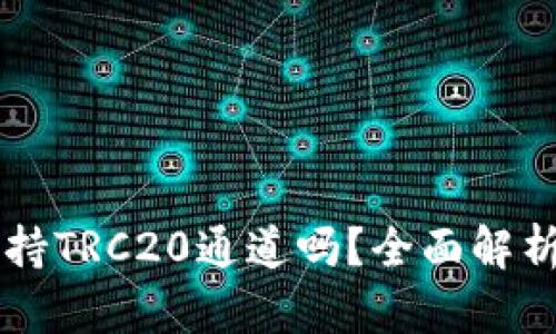 tpWallet支持TRC20通道吗？全面解析与使用指南