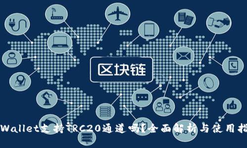 tpWallet支持TRC20通道吗？全面解析与使用指南