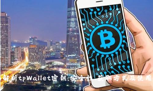 全面解析tpWallet密钥：安全性、获取方式及使用指南