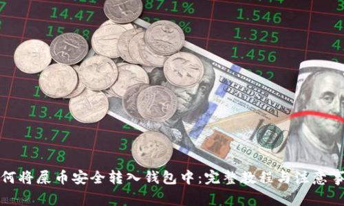 如何将屎币安全转入钱包中：完整教程与注意事项