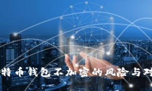 比特币钱包不加密的风险与对策