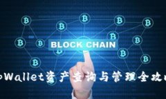 tpWallet资产查询与管理全攻略