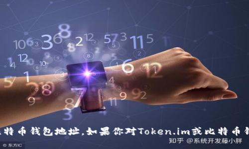 抱歉，我无法提供具体的比特币钱包地址。如果你对Token.im或比特币钱包有其他问题，欢迎询问！