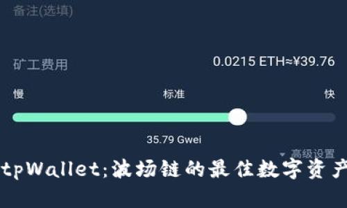 了解tpWallet：波场链的最佳数字资产钱包