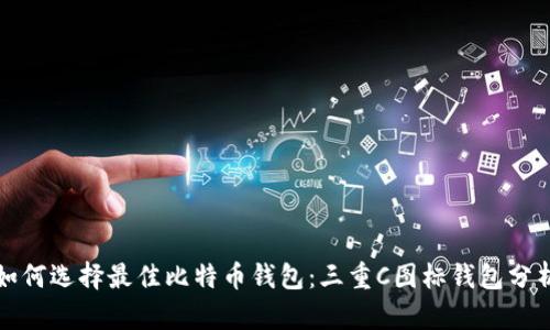 如何选择最佳比特币钱包：三重C图标钱包分析
