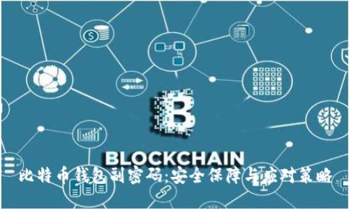比特币钱包副密码：安全保障与应对策略