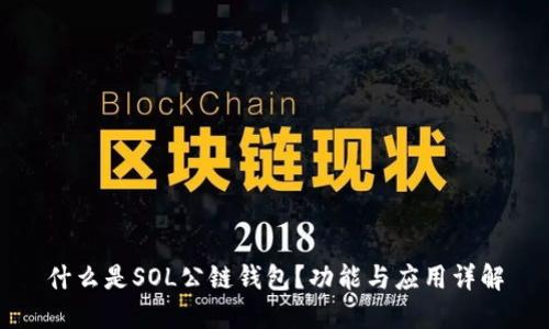 什么是SOL公链钱包？功能与应用详解