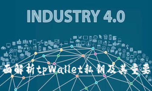 全面解析tpWallet私钥及其重要性