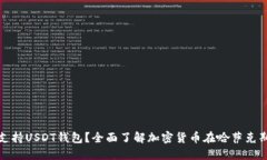 哈萨克斯坦是否支持USDT钱包？全面了
