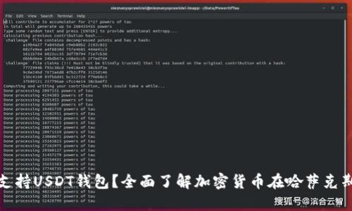 哈萨克斯坦是否支持USDT钱包？全面了解加密货币在哈萨克斯坦的发展与应用