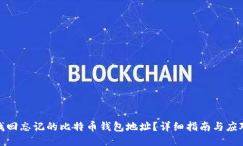 如何找回忘记的比特币钱包地址？详细指南与应对措施