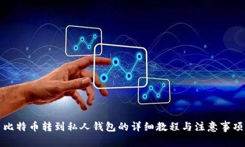 比特币转到私人钱包的详细教程与注意事项