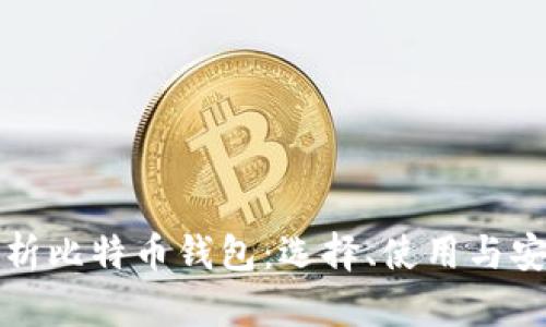 全面解析比特币钱包：选择、使用与安全指南