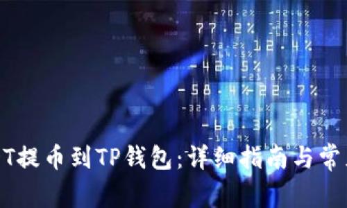 怎么将USDT提币到TP钱包：详细指南与常见问题解答