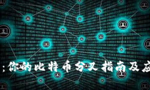IM钱包：你的比特币分叉指南及应用解析