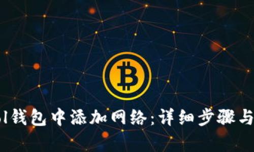 如何在Sol钱包中添加网络：详细步骤与问题解析