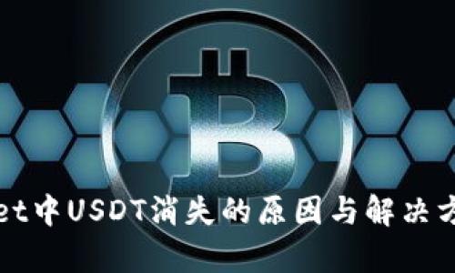 tpWallet中USDT消失的原因与解决方法详解