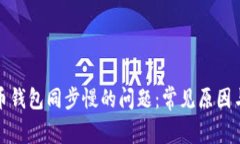 解决狗狗币钱包同步慢的问题：常见原