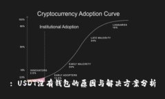 : USDT没有钱包的原因与解决方案分析
