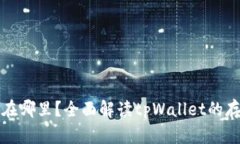 tpWallet的币放在哪里？全面解读tpWall