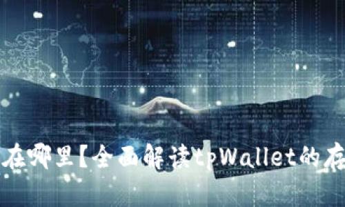 tpWallet的币放在哪里？全面解读tpWallet的存储机制和安全性