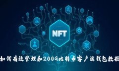 如何有效管理和200G比特币客户端钱包数据