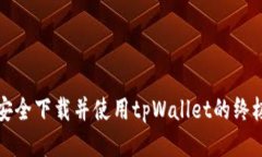 如何安全下载并使用tpWallet的终极指南