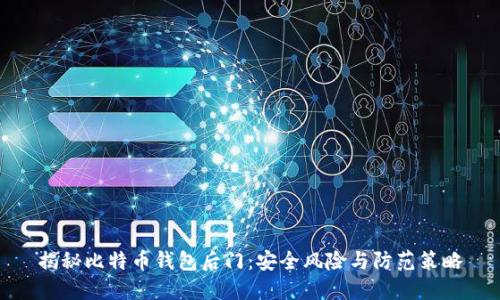 揭秘比特币钱包后门：安全风险与防范策略