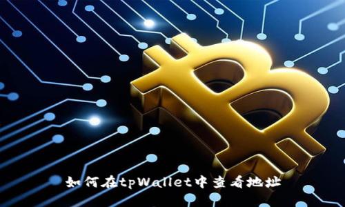 如何在tpWallet中查看地址